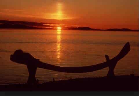 whale bone sunset